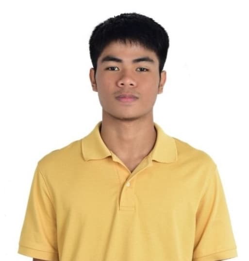 Matthew Ariel A. Enarle